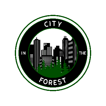 City In the Forest